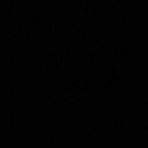 Meet your Posher, Jayden